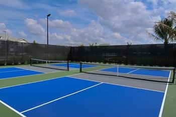 Double pickleball court